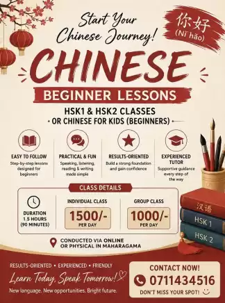 Chinese Beginner Classes