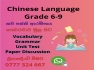 Chinese Language 