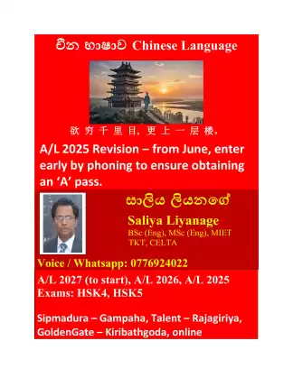 Chinese Language
