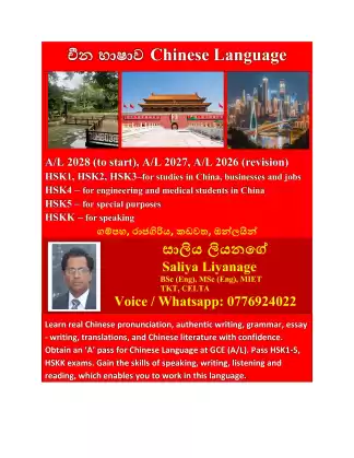 Chinese Language