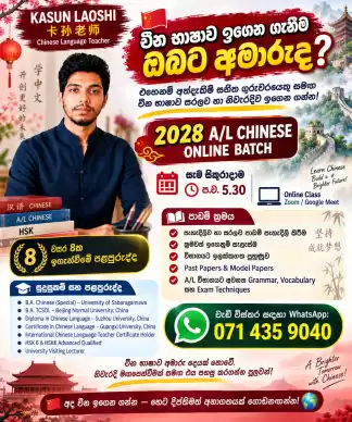 Chinese Language