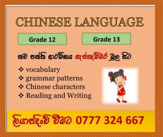 chinese language classes 