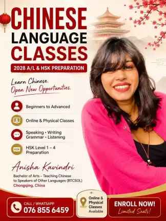 Chinese Language
