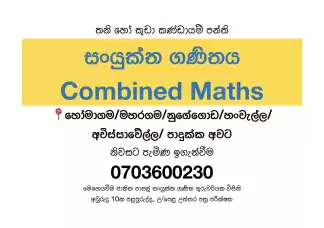 Combined Maths Theory/ Revision/ Paper class