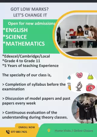 Customized teaching session for Maths/English/Science
