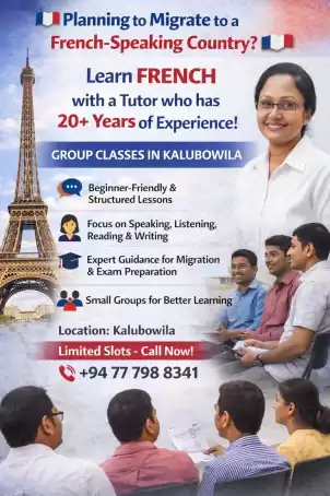 DELF French Crash Course
