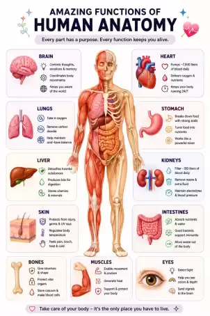 Edexcel A/l Biology , Edexcel igcse Human Biology, Biology, Cambridge A/l Biology , Cambridge igcse Biology, Local A/l Biology (English Medium)