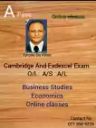 EDEXCEL AND CAMBRIDGE TUITION