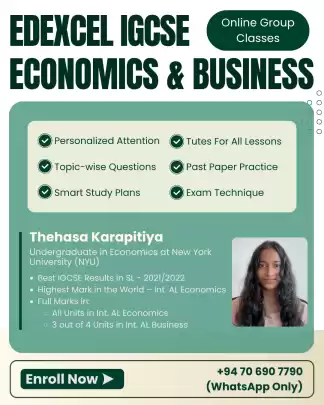 Edexcel IGCSE Economics & Business Tutoring