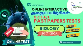 Emkalvi.lk - Online Self Learning for Tamil Medium Students