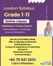 English and Mathematics for grade 3 to 9