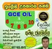 🧒🧒English Grade 6,7,8,9,10,11 Classes - G.C.E O/L - ඉංග්‍රීසි උපකාරක පන්ති🧒🧒