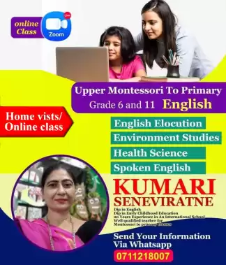 English / Home visits