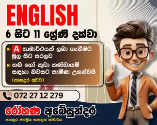 English Home Visits (Individual /Groups )Panadura ,Wadduwa,Moratuwa ,Bandaragama .