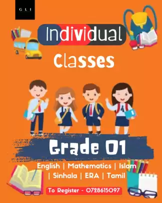 English Individual Classes
