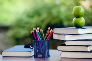 English language tuition home visit