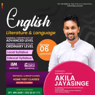 English literature and languages classes by a university lecturer