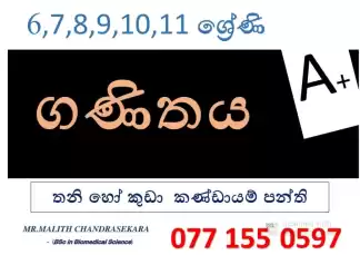 English medium and Sinhala medium Maths classes