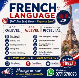 Exam-Focused French Language Classes