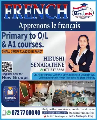 French Classes