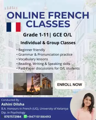 French Classes for Beginners and O/L Students