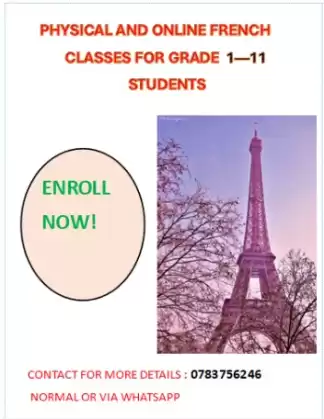 French classes for grade 1 -11 students