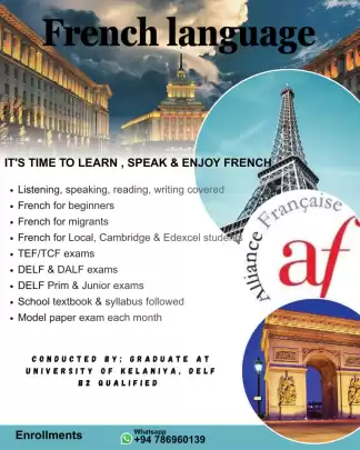 French Classes for TEF, DELF, GCE Ols & ALs, IGCSE & GCSE exams