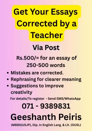 Get Your Essays Corrected by a Teacher