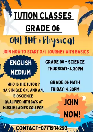 grade 06 science and math classes