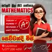 Grade 1-11 sinhala medium maths  classes