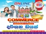 Grade 10/11 Commerce ( English / Sinhala Medium )