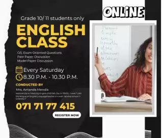 Grade 10/ 11 English Online Class