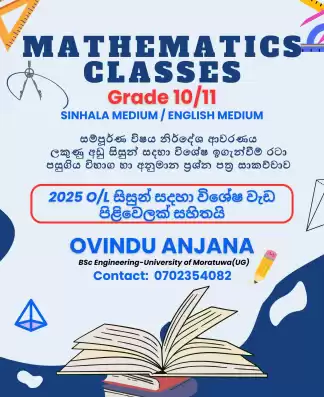 Grade 10/11 Mathematics Individual/Group Class