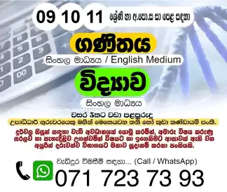 Grade 10, 11 & O/L Maths & Science Individual and Group Classes Colombo