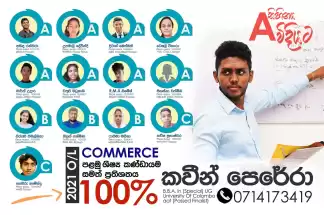 Grade 10 and 11 Business and accounting Studies class Commerce