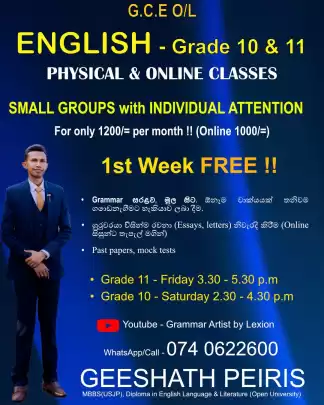 Grade 10 and 11 English Classes