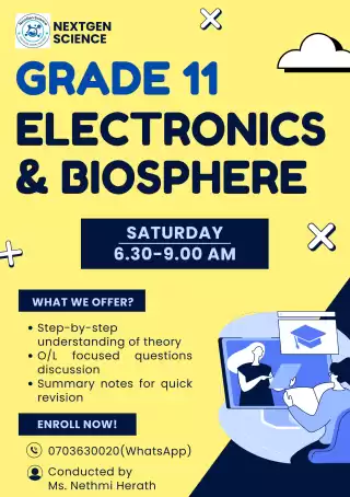 Grade 11 Online Group Class (English Medium)