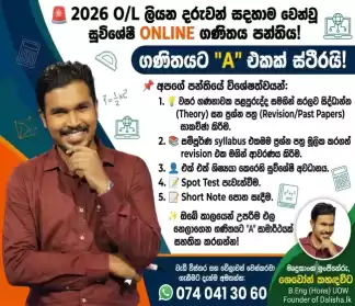Grade 11 Revision Mathematics Class ( 5 month plan )