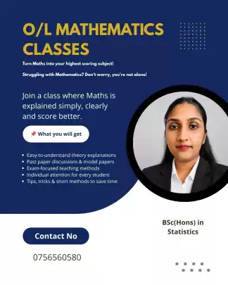 Grade 6-10 Mathematics Classes (Both English & Sinhala )