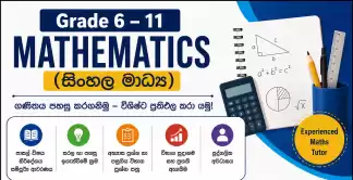 Grade 6–11 Mathematics Classes (සිංහල මාධ්‍ය)