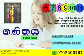 Grade 6-11 maths classes