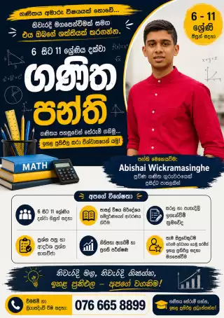 Grade 6 - 11 Maths Classes