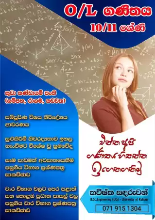 Grade 6 -11 O/L Mathematics Classes