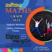 Grade 6-11 O/L Maths Individual