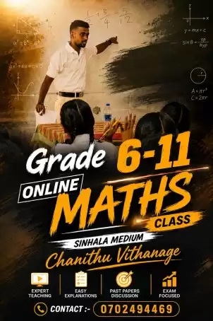 Grade 6 -11 online Maths class