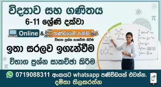 Grade 6-11 Science and mathematics class