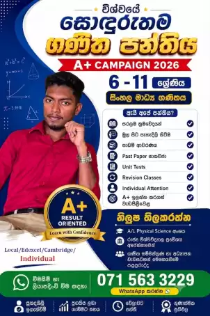 Grade 6-11 Sinhala Medium Mathematics Classes