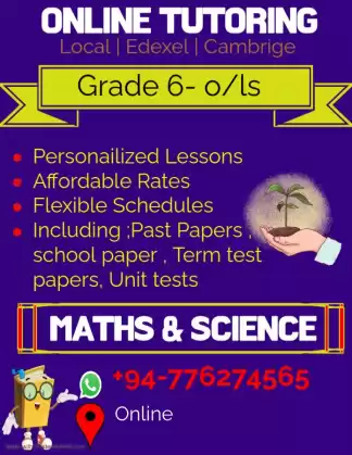 Grade 6,7,8,9,10,O/L'S maths and science group class Local / edexel cambridge