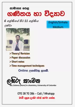 Grade 6 to 11 Maths & Science classes