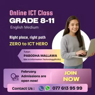 Grade 8-11 Online ICT class (English medium)